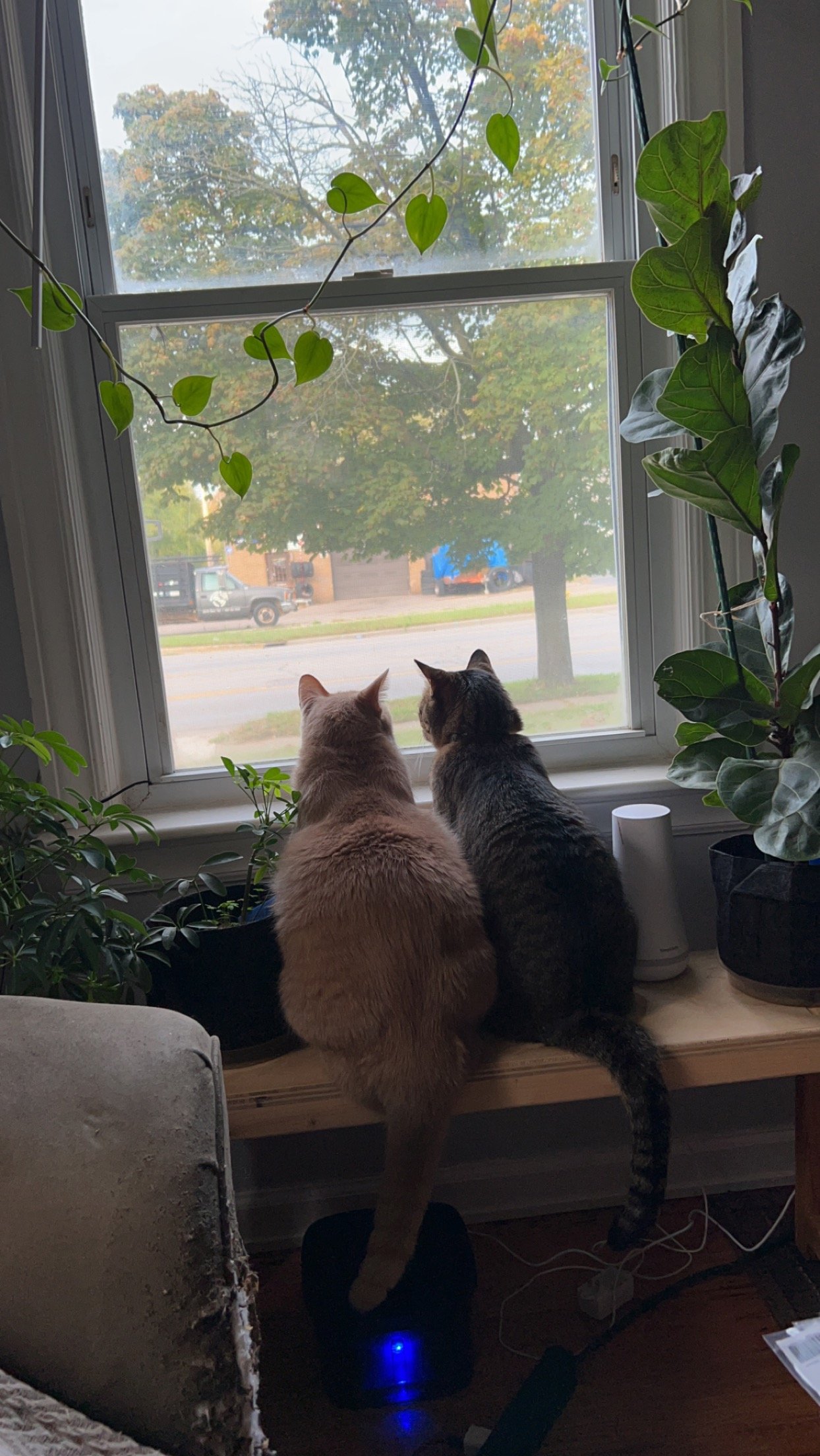 Mr Jim Lahey and Philadelphia Collins