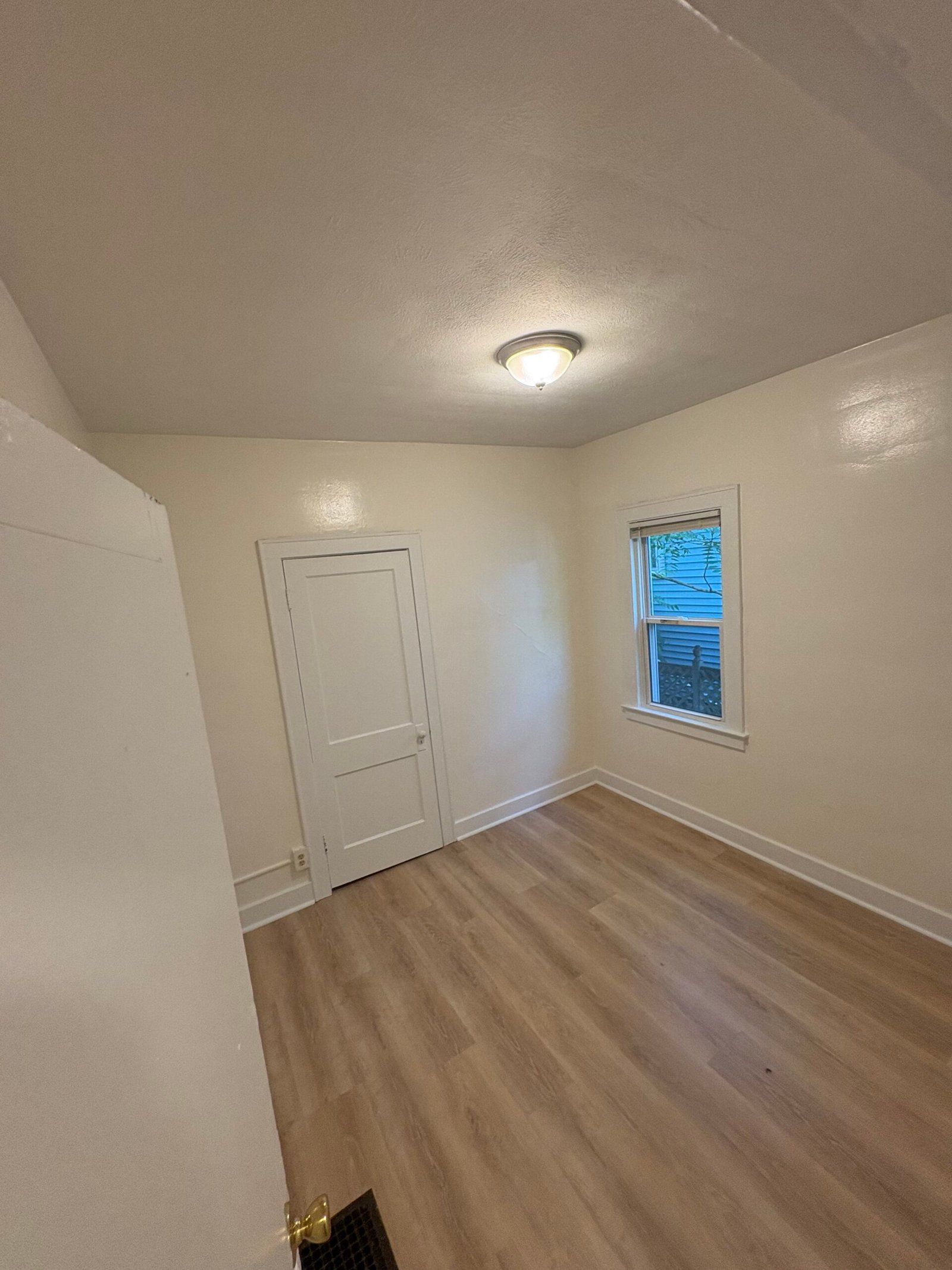 New Flooring and Paint